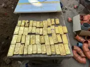 Builders find £7.6m gold hoard under Belgian brewery