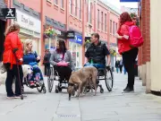 Bus pass change will 'remove barriers' says North East disability rights group