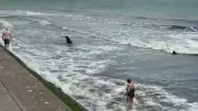 Cafe owner saves three children from rough seas in Kent