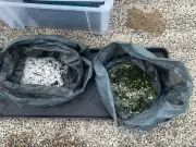 Calls for boats to collect spilled nurdles after River Tyne crash
