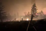 Canada’s BC declares state of emergency as wildfires spread