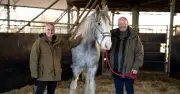 Cannon Hall Farm's heartbreaking update after horse's sudden death
