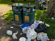 Cardiff removes 37 litter bins in three years without replacements