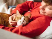Cat Expert Reveals Golden Rule for Litter Boxes