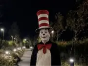 Cat in the Hat AI trend prompts police reassurance to TikTok users