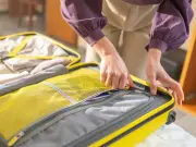 Check suitcase pockets for bed bugs before unpacking, expert urges