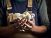 Chef's mushroom trick swaps butter for water for richer flavour