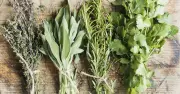 Chef's Simple Storage Tricks Keep Herbs Fresh for 3 Extra Weeks