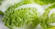 Chef's tin foil trick keeps lettuce fresh for a month