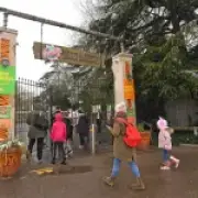 Chessington World of Adventures forced to close over water outage