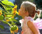 Children need education in sniffing aromas, historian says