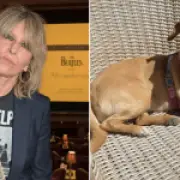 Chrissie Hynde fears 'malicious' intent after dog goes missing in London