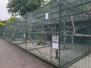 Churchtown aviary to close as PETA backs Sefton Council decision