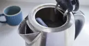 Citric acid for £2.50 banishes kettle limescale, cleaning fan shows