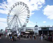 Clacton: A Human Zoo? Resident's Account of Farage's Circus