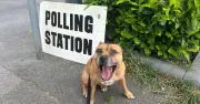 Clacton by-election: No exit poll as Farage faces 33 rivals
