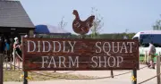 Clarkson's Farm drought: Diddly Squat harvest decimated