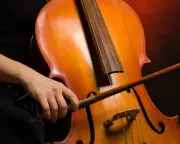 Class, not race, is the real barrier in classical music, says reader