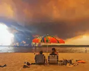 Climate crisis is an outrage, not a tragedy, says Tim Winton