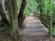 Clyde Walkway improvements completed between Mauldslie Bridge and Crossford