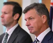 Coalition backs One Nation bill to bar terror-linked Australians from returning