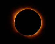 Coalition energy rules ‘timebomb’, Trump spokeswoman resigns, Europe solar blackout