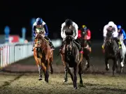 Constitution Hill skips Windsor for Kempton September Stakes