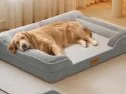 Cooling Dog Bed with Orthopedic Foam for Older Pets in Heatwave