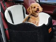 Cooling Dog Car Seat Keeps Pets Safe and Comfortable in Heat