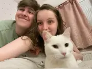 Couple's grief after dogs fatally attack beloved cat Loki