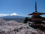 Dad Warned After Leaving Son, 7, Alone on Mount Fuji