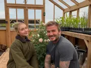 David Beckham trademarks rose named after him following Brooklyn's 'Brand Beckham' claim