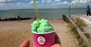 Day Trip to Whitstable on £20 Budget Leaves Journalist with Change