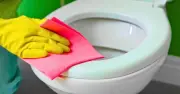 Denture tablets: the 1 bathroom item that stops toilet limescale