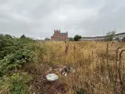 Dingle residents say green space 'overgrown' and 'infested with rats'