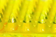 Dissolvable 3D-printed patch targets skin cancer treatment
