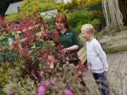 Dobbies' Little Seedlings Club explores autumn colours at Livingston store
