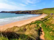 Dog ban on 79 Welsh beaches could mean £1,000 fines
