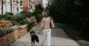 Dog Experts Settle Debate on Optimal Daily Walk Duration