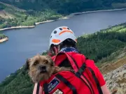 Dog missing for 19 days found alive on Helvellyn mountain