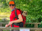 Dog missing for three weeks rescued from Helvellyn ravine