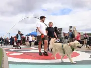 Dog on the Tyne returns to Newcastle Quayside for third year