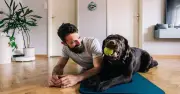 Dog owners face hidden £145.90 fireworks fee yearly