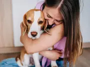 Dog owners urged to keep pets inside during solar eclipse