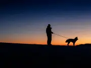 Dog owners urged to walk pets before solar eclipse