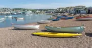 Dog owners warned after pet 'poisoned' during UK beach walk