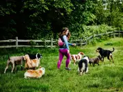 Dog owners warned over hidden dangers at popular walking spots after rain
