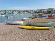 Dog 'poisoned' on UK beach after 'testing positive for drugs' as owners warned