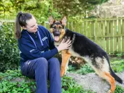 Dog revived with CPR after rescue from 'worst room' RSPCA officer had ever seen