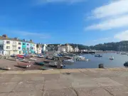 Dog walkers warned after pet 'poisoned' on Devon beach